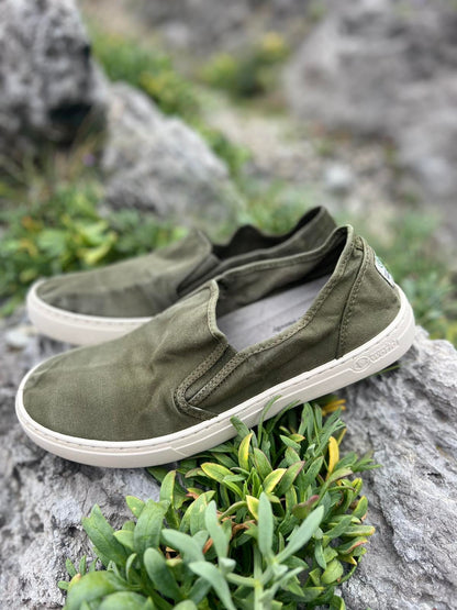 Old Gazelle